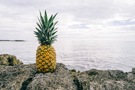 fruit, horizon, ocean, pineapple, rocks, sea, tropical fruit