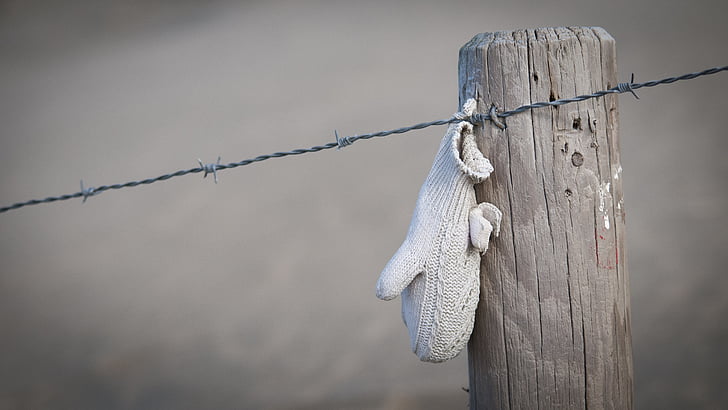 Beach, vinter, handske, fordi, kyst, fundet, pigtråd