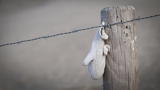Beach, pozimi, rokavice, ker, obala, našel, bodečo žico