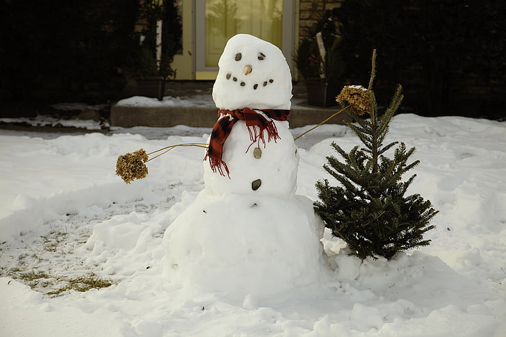 снежен човек, сняг, бяло, зимни, Коледа, студено, Фрост