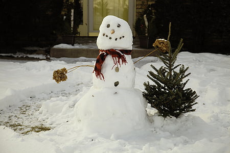 muñeco de nieve, nieve, Blanco, invierno, Navidad, frío, Frost
