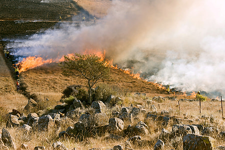požiar trávy, hasič, dym, preventívne vypaľovanie, Wildfire, núdzové, životné prostredie