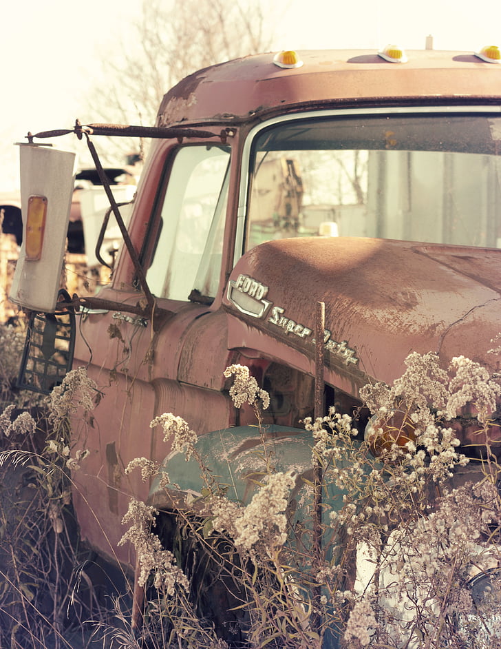 old, car, wreck, vintage, overgrown, rusty, broken