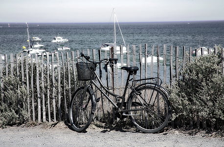 ชายหาด, จักรยาน, ฮอลิเดย์, ทะเล, ด้านข้าง, ดวงอาทิตย์, ฤดูร้อน