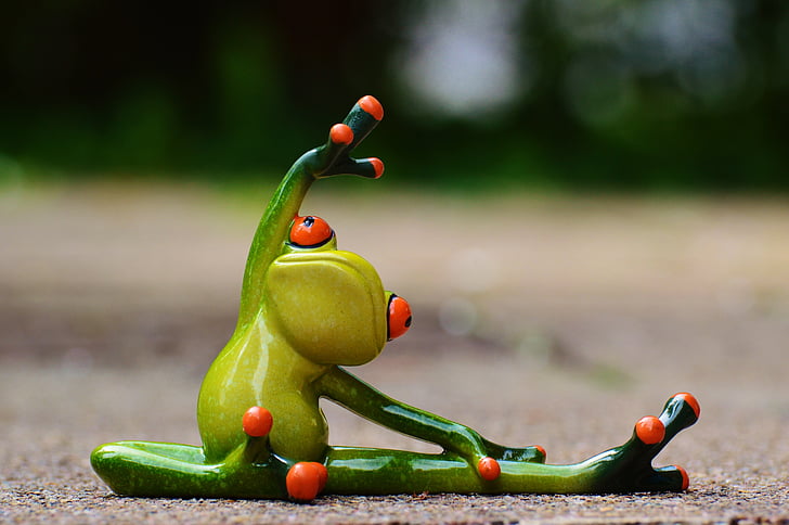 focus, photography, red, eye, frog, stretching, fitness