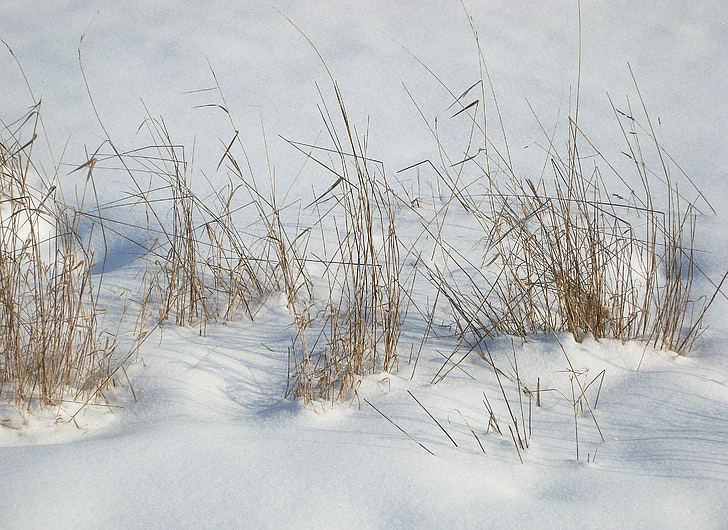 snow, grass, landscape, winter, field, nature, cold
