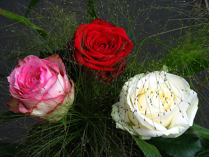 rosas, buquê, vermelho, Branco, -de-rosa, exuberante, flores
