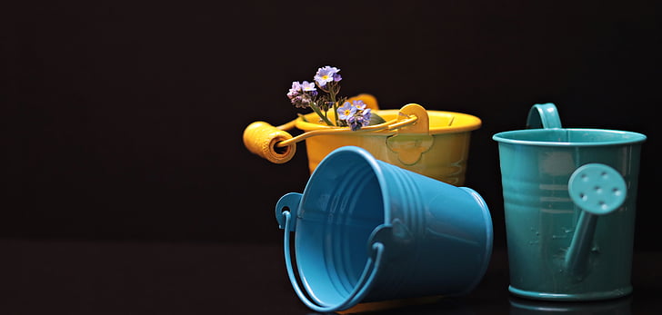 bucket, forget me not, flower, yellow, blue, petrol, blue bucket