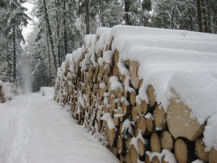 nieve, madera, troncos de los árboles, invernal, cubierto de nieve