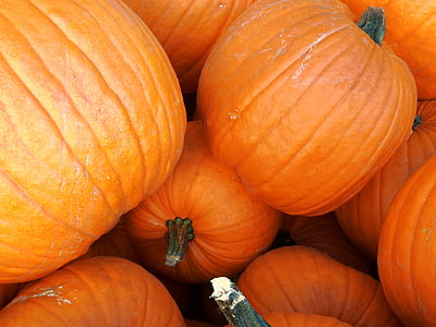 pumpkin, gourd, autumn, decoration, vegetables, harvest, helloween