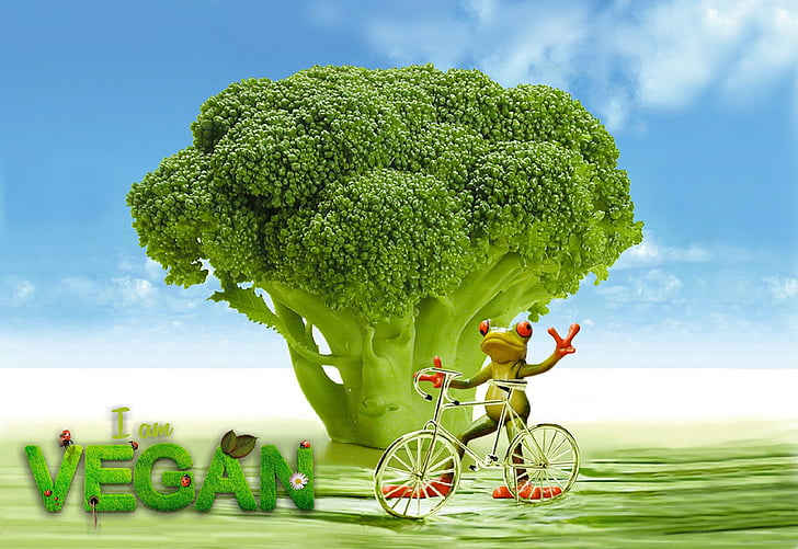 veganistisch, eetlust, broccoli, kikker, fiets, grappig, schattig