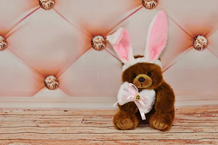 easter, easter bunny, teddy, soft toy, funny, dressed up, panel