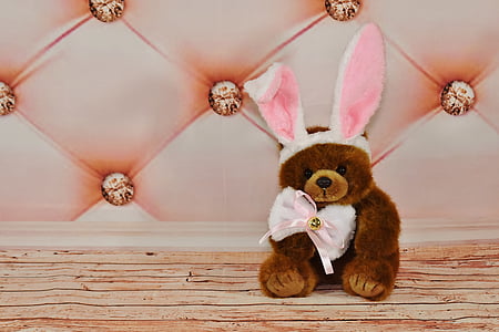 Великдень, Великодній заєць, Тедді, м'яка іграшка, Смішний, одягнені, панелі