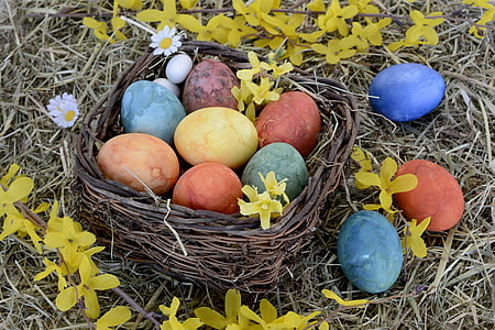 부활절 둥지, 둥지, 부활절 달걀, 다채로운, 부활절, 장식, 행복 한 부활절