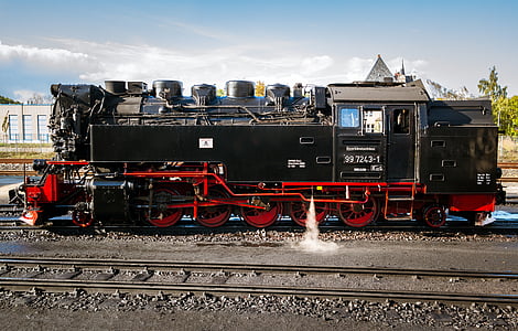 locomotive, loco, locomotive à vapeur, chemin de fer, Historiquement, voie étroite, résine