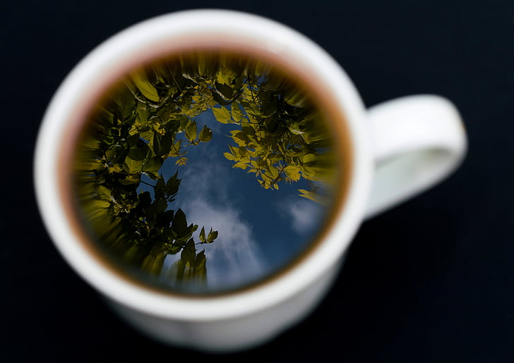 krūze, kauss, tējas tasīti, tēja, pārdomas, debesis, meža