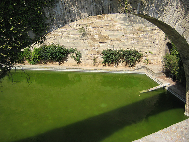 bridge, arc, tub, stone wall, green, water, spain