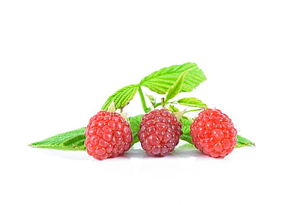 ripe raspberries, fruit, red, lean, delicious recipes, garden, fruit garden