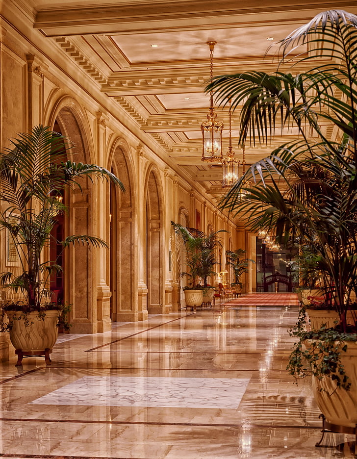 Hôtel Sheraton palace, Hall d’entrée, architecture, San francisco, plantes, point de repère, perdre