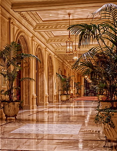 Sheraton palace viešbutis, fojė, Architektūra, San Franciskas, augalai, orientyras, prarasti