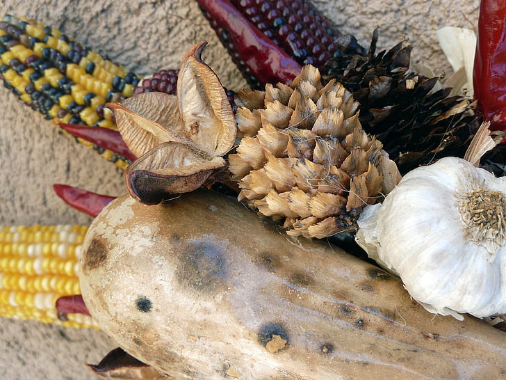dekoráció, zöldség, kukorica, boll pamut, fokhagyma, szárított, száraz
