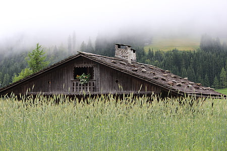 horské chaty, srub, dřevěné šindelové střechy, žito, Maria luggau, Lesachtal, mlha