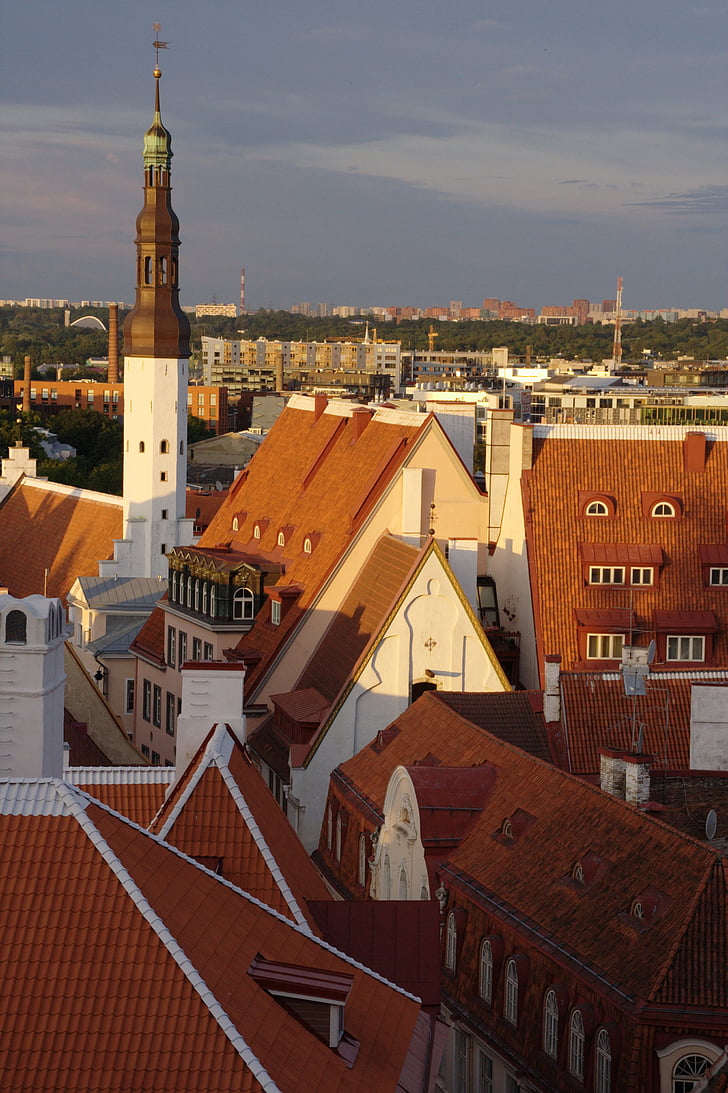 Estonia, Tallinn, phố cổ, kiến trúc, mái nhà, cảnh quan thành phố, Châu Âu
