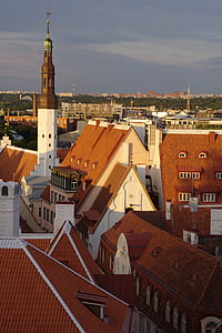 Estônia, Tallinn, cidade velha, arquitetura, telhado, paisagem urbana, Europa
