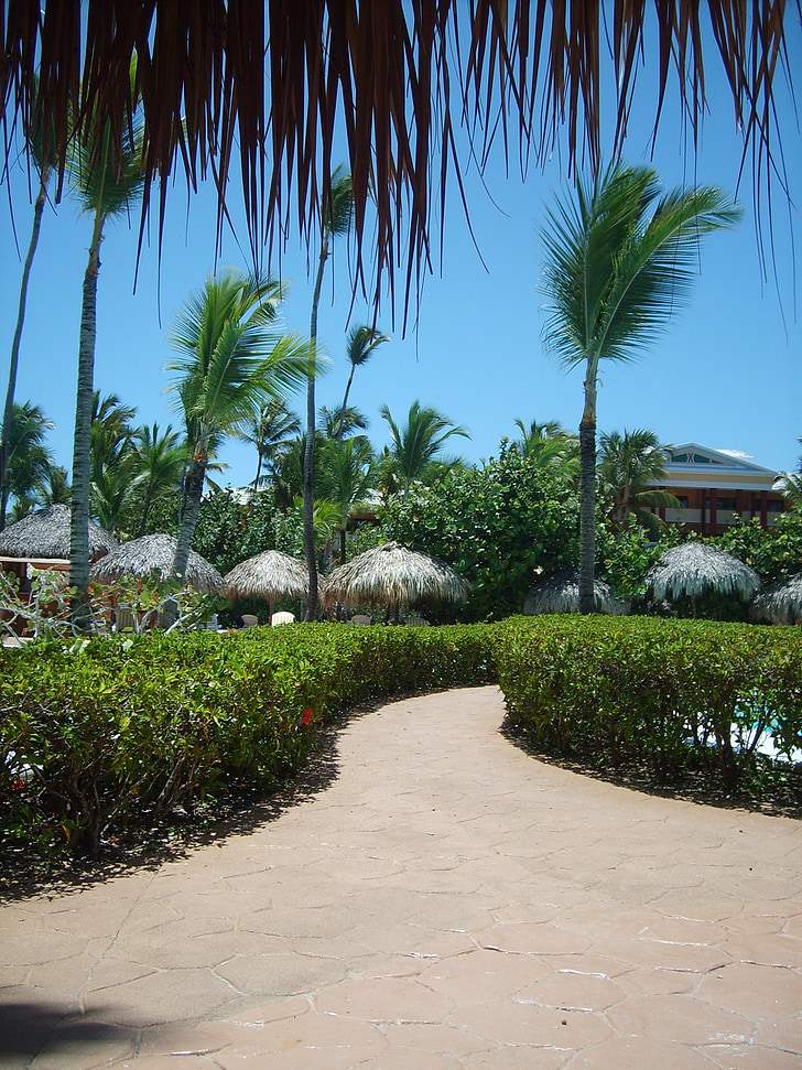 Caribe, República Dominicana, vacaciones, Ruta de acceso, flores, verde, tropical