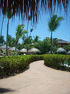 carribean, dominican republic, holiday, path, flowers, green, tropical