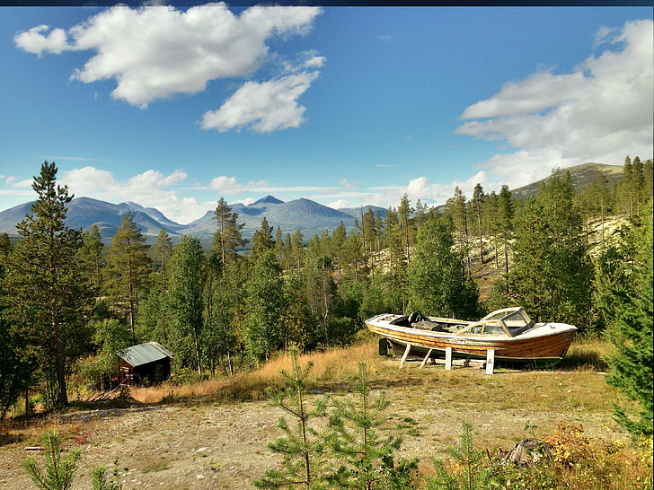 Boot, bergen, skogen, Norge, sommar, natursköna
