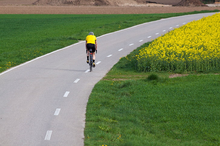 syklister, veien, merke, oljevekster voldtekt, landbruket operasjon, gul, feltet