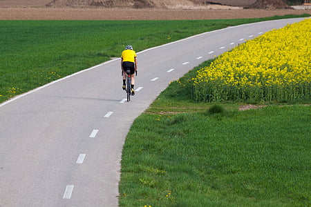 cyclists, road, mark, oilseed rape, agricultural operation, yellow, field