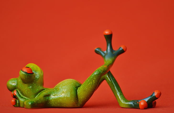 frog, lying, relaxed, cute, rest, figure, funny