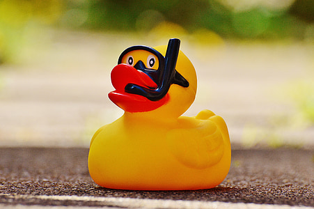 rubber duck, bath duck, quietscheente, funny summer, cute, sweet, funny
