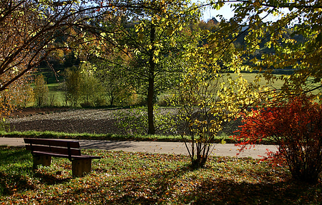 otoño, Estado de ánimo otoño, árboles, naturaleza, colorido, Color, paisaje