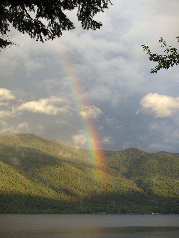 Rainbow, Canim lake, British columbia, Kanada, åskväder, vacker natur, landskap