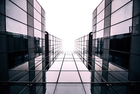 architecture, building, glass, low angle shot, perspective, reflection, office building exterior