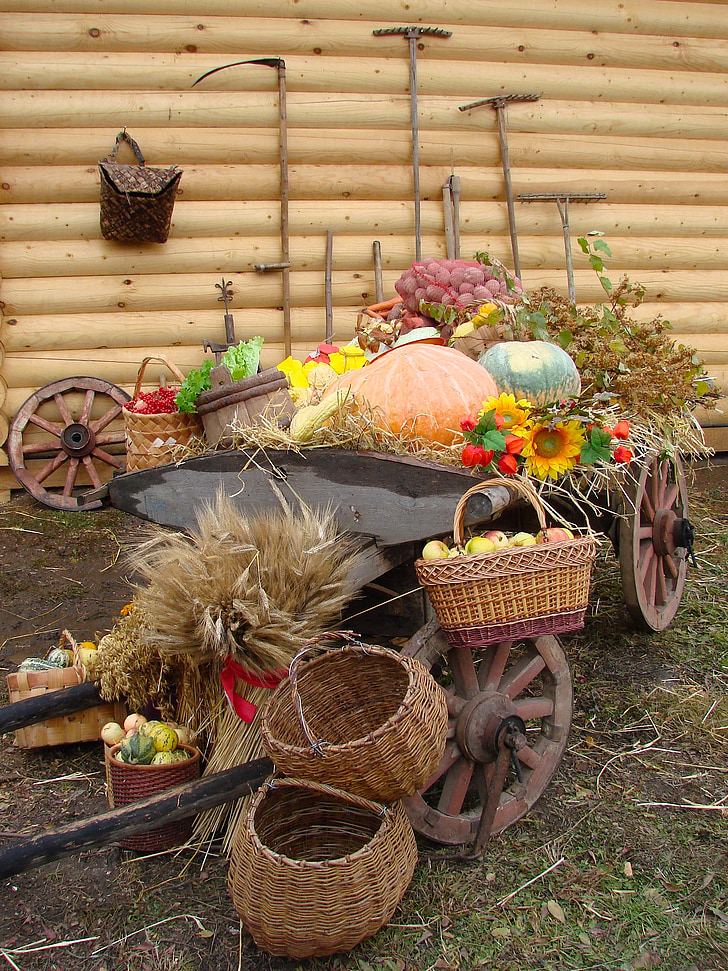 произвежда реколта, количка, вагон, тикви, ябълки, зеленчуци, кошница
