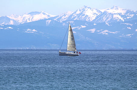 Spedizione gratuita, imbarcazione a vela, vela, avvio, acqua, Lago, Lago di Costanza