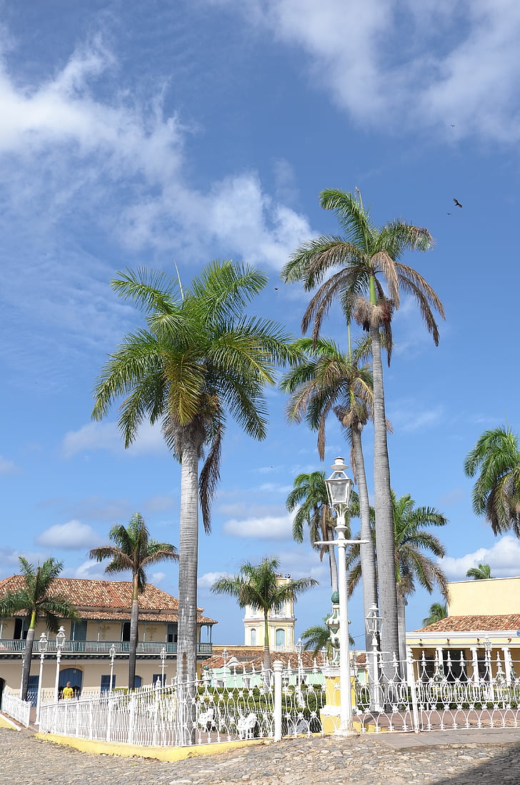 Kuba, Trinidad, Palms