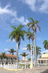 kuba, Trinidada, palmas
