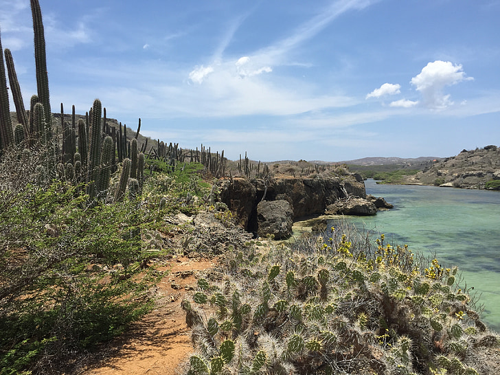 Curaçao, costa nord, ascensió de boca, paisatge de cactus