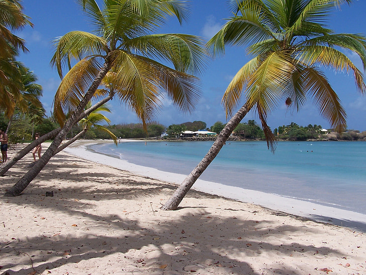 Beach, Martinique, Karib-szigetek, francia, turizmus, Sky, víz