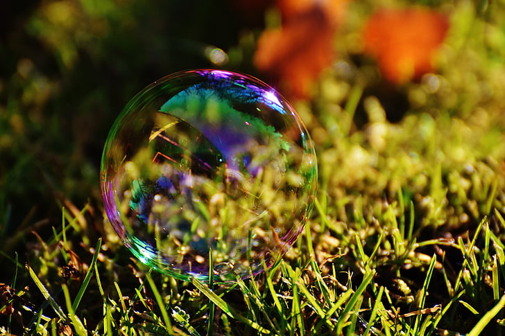 muilo burbulas, spalvinga, pieva, žolės, kamuoliai, muiluotu vandeniu, padaryti muilo burbulai