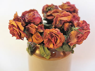rozes, ziedēšana, sausajiem ziediem, tekstūra, sausais, romantika, romantisks