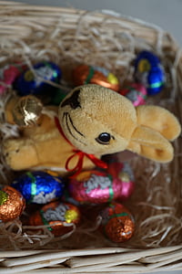 Velikonoce, králík, vajíčko, Festival, čokoláda, zvíře, jaro