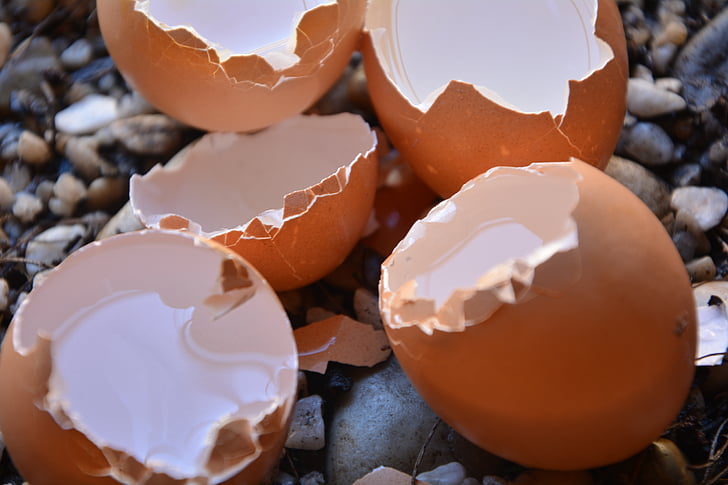 vaječné skořápky, zlomený, prázdné