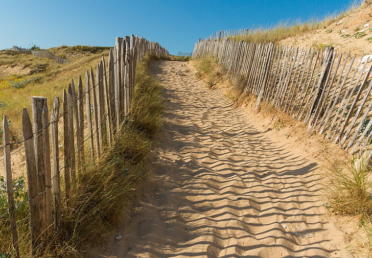 beach, path, picket fence, sand, dunes, coast, shore