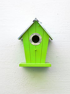 aviary, green, birds, nesting place, bird feeder, incubator, tit